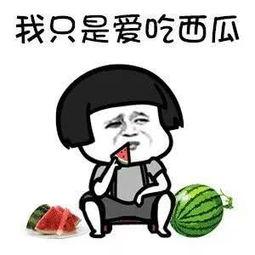 娱乐吃瓜酱见多了同行,吃瓜酱眼中的同行众生相